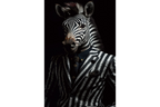 Zebra Wall Art