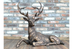 Laying Stag