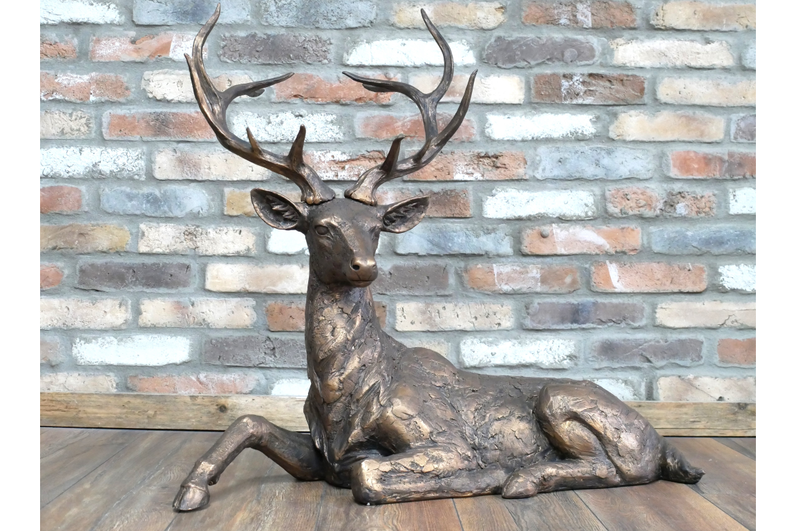 Laying Stag