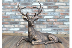 Laying Stag