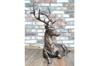 Laying Stag