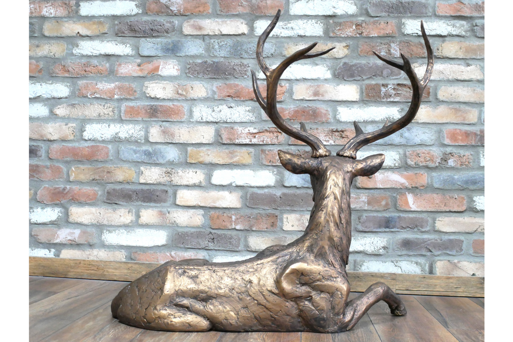 Laying Stag