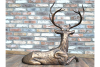 Laying Stag