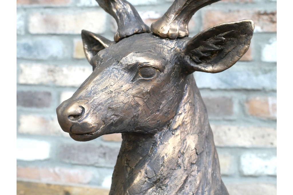 Laying Stag