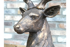 Laying Stag