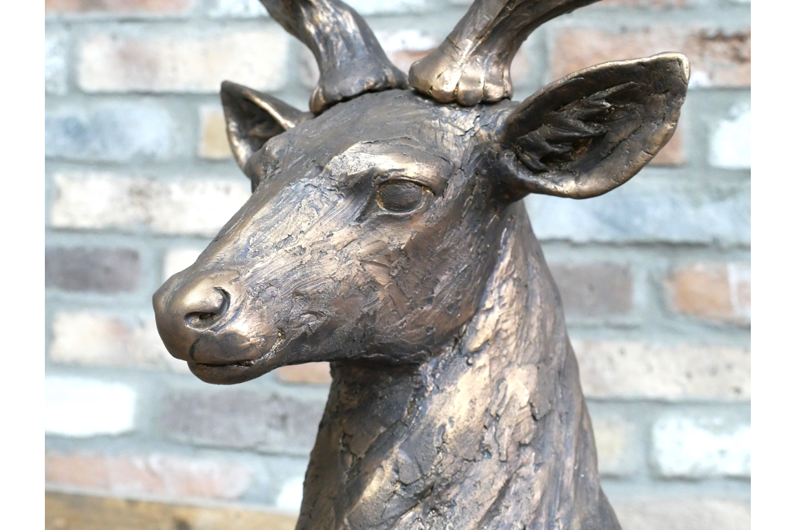 Laying Stag
