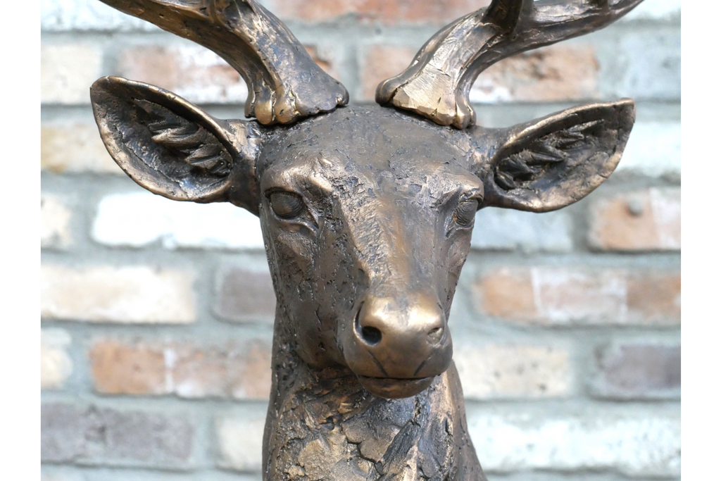 Laying Stag