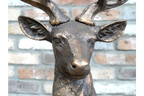 Laying Stag