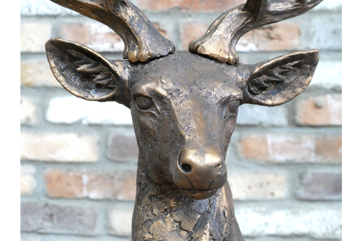 Laying Stag