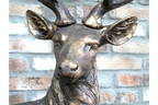 Standing Stag