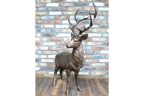 Standing Stag