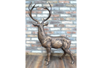 Standing Stag