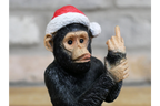 Small Up Yours Monkey