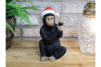 Up Yours Monkey