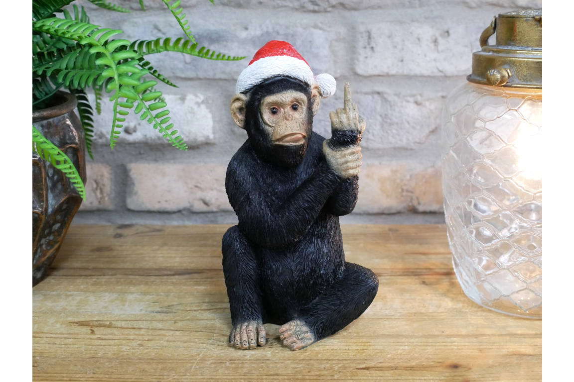Up Yours Monkey