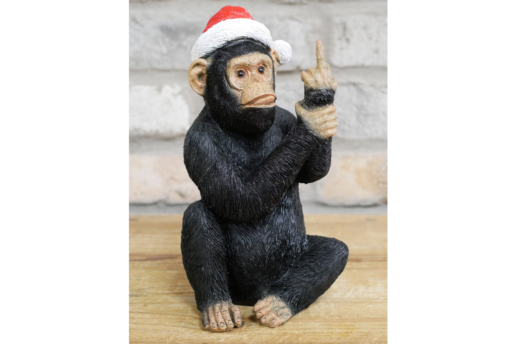 Up Yours Monkey