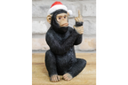 Up Yours Monkey