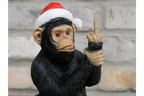 Up Yours Monkey