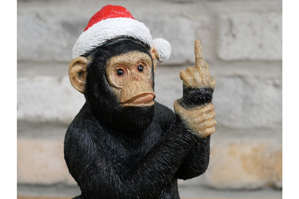 Up Yours Monkey