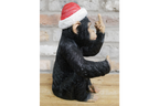 Up Yours Monkey Wine Holder