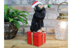 Drunken Monkey