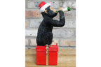 Drunken Monkey