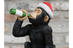 Drunken Monkey