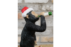 Drunken Monkey