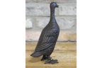 Cast Iron Duck