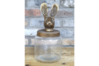 Rabbit Jar