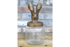 Rabbit Jar