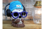 Skull with Headphones