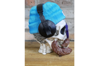 Skull with Headphones