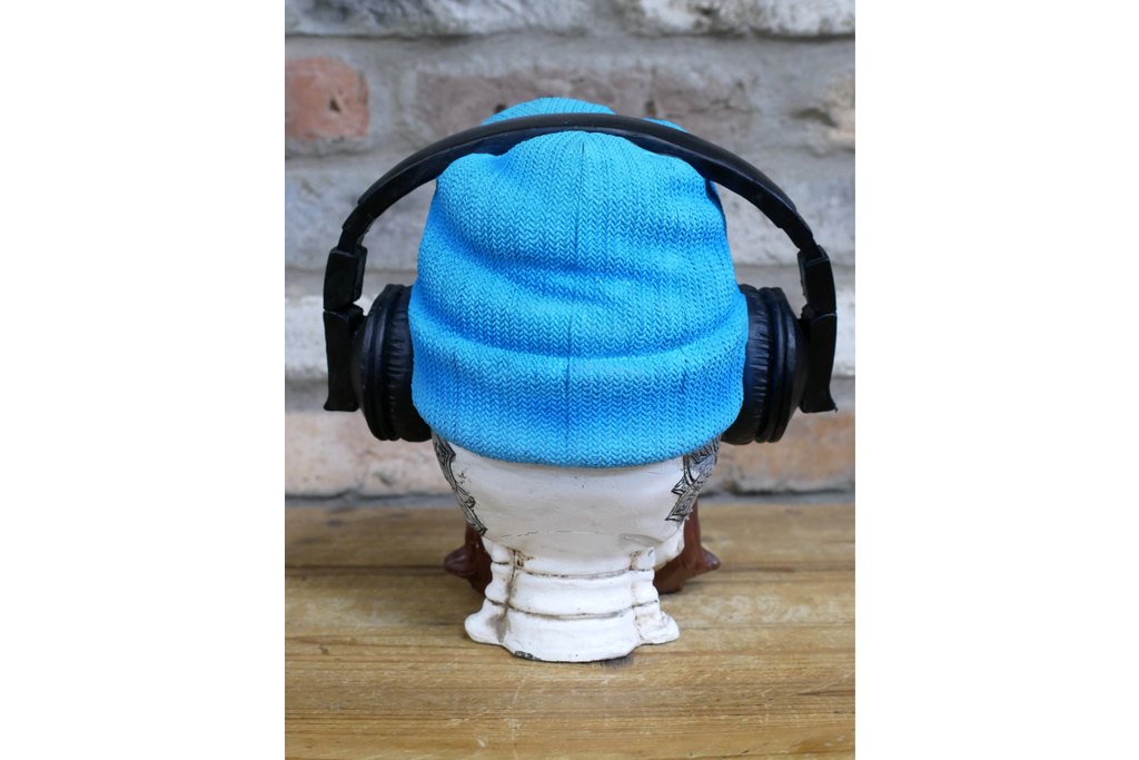 Skull with Headphones