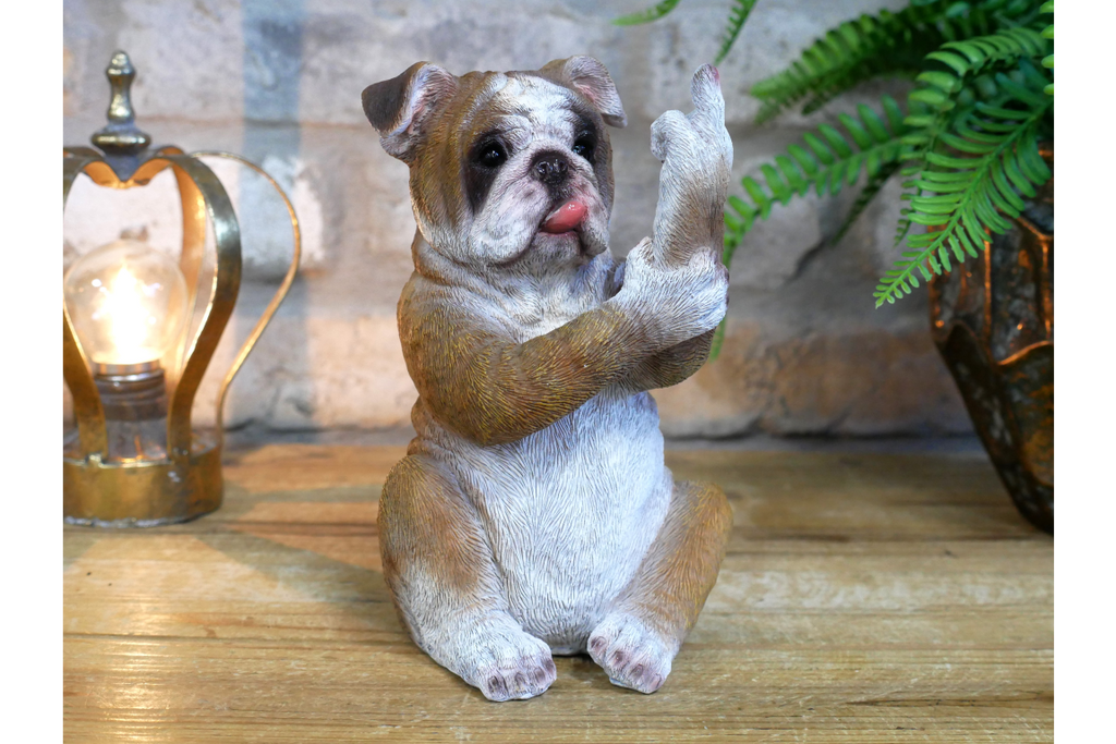 Up Yours Bulldog