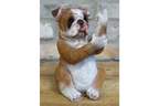 Up Yours Bulldog