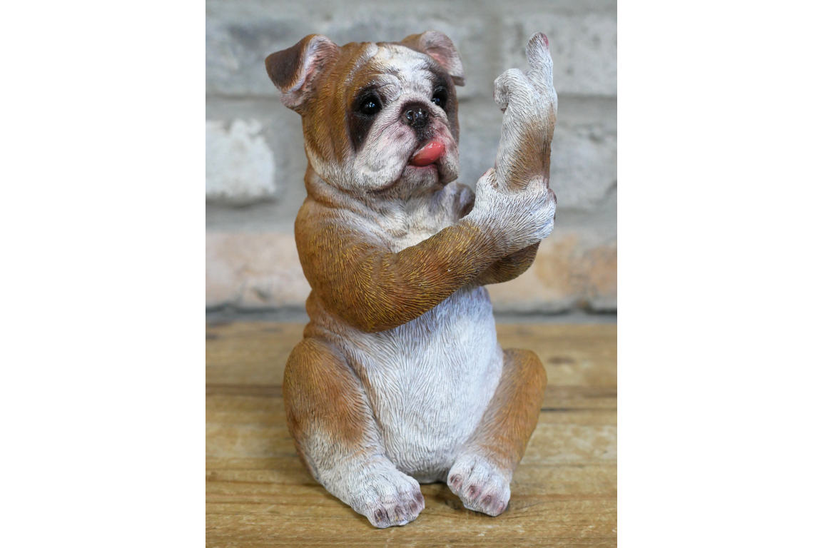 Up Yours Bulldog