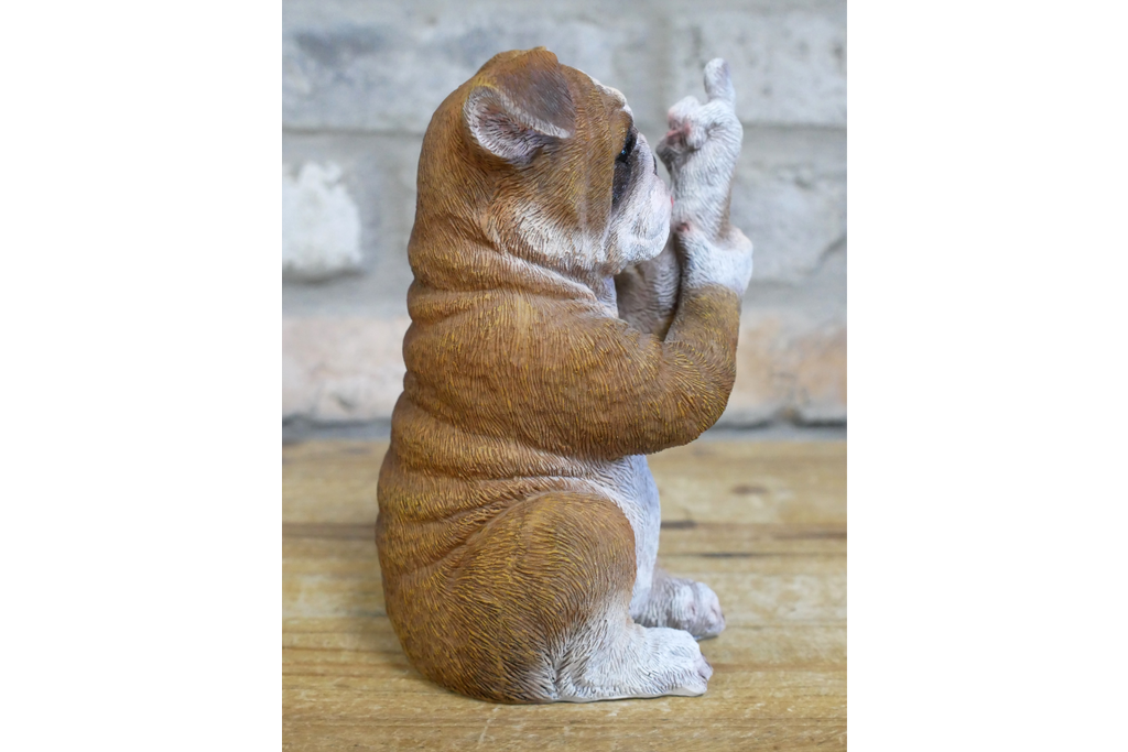Up Yours Bulldog