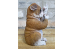 Up Yours Bulldog