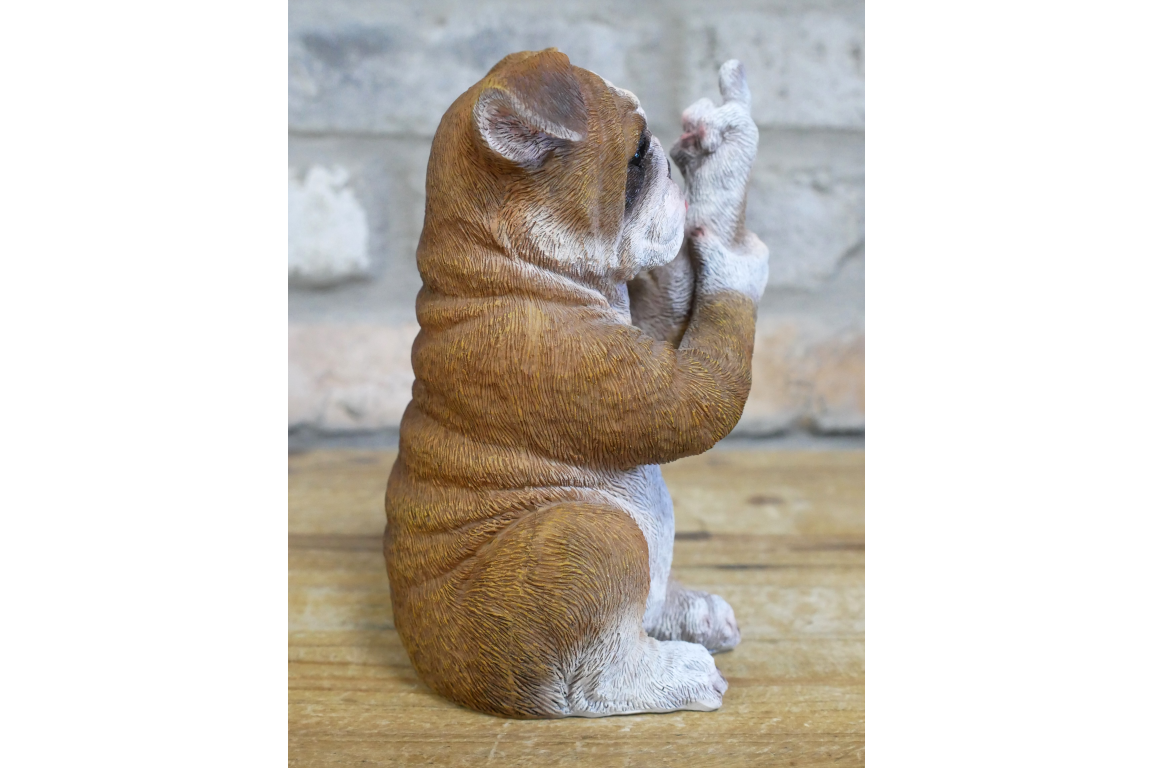 Up Yours Bulldog