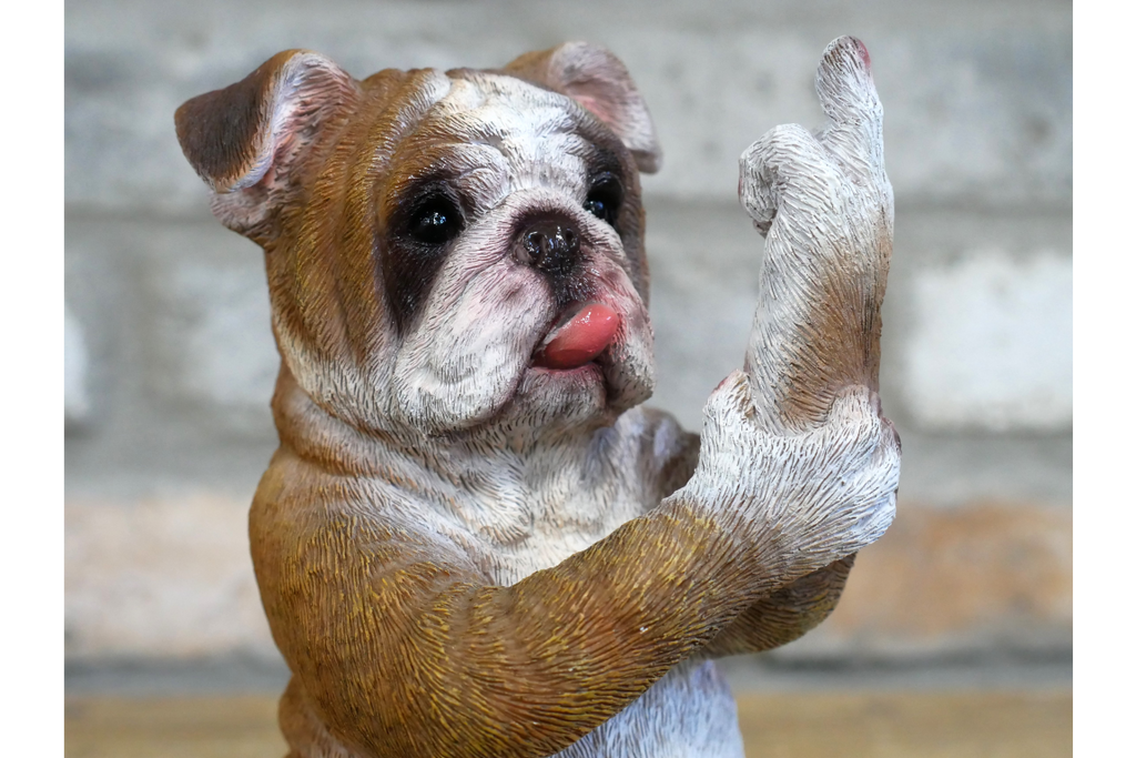 Up Yours Bulldog