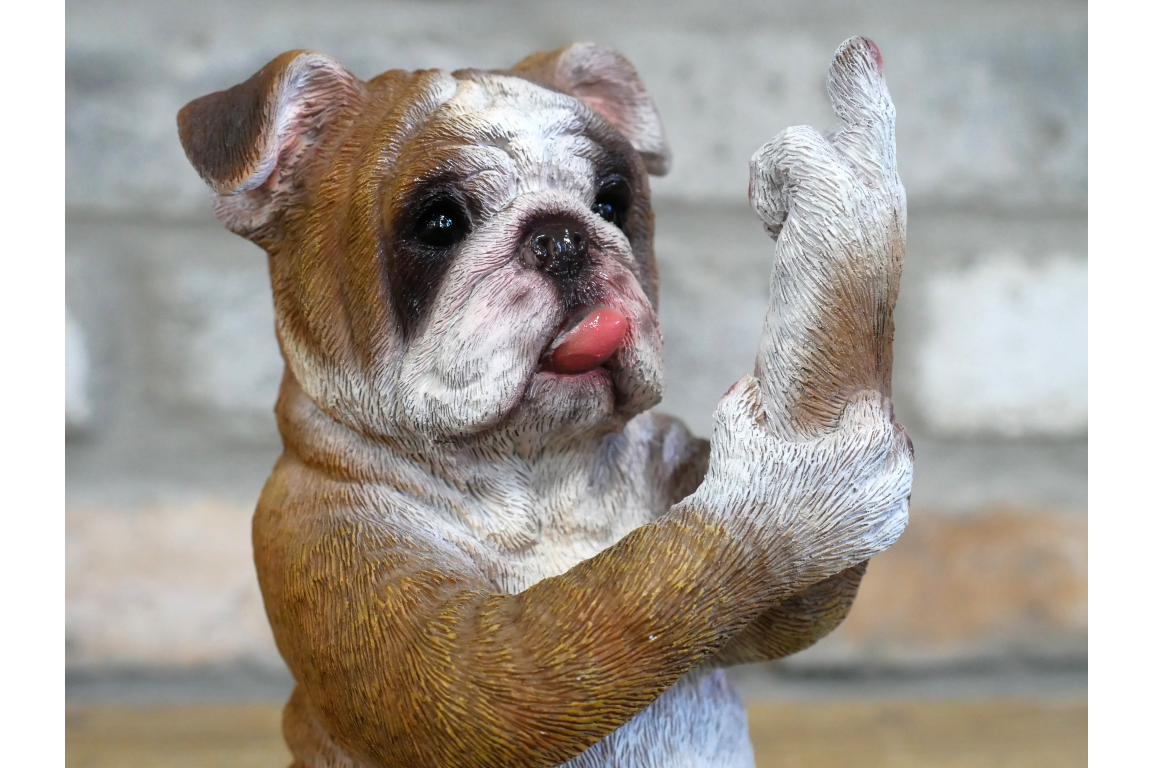 Up Yours Bulldog