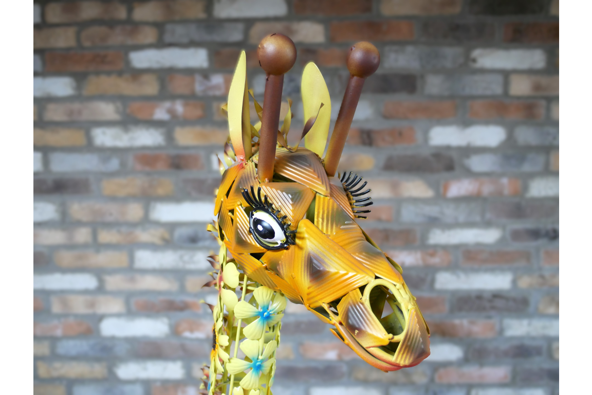 Flower Giraffe