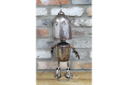Silver Robot