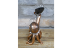 Octopus Hourglass