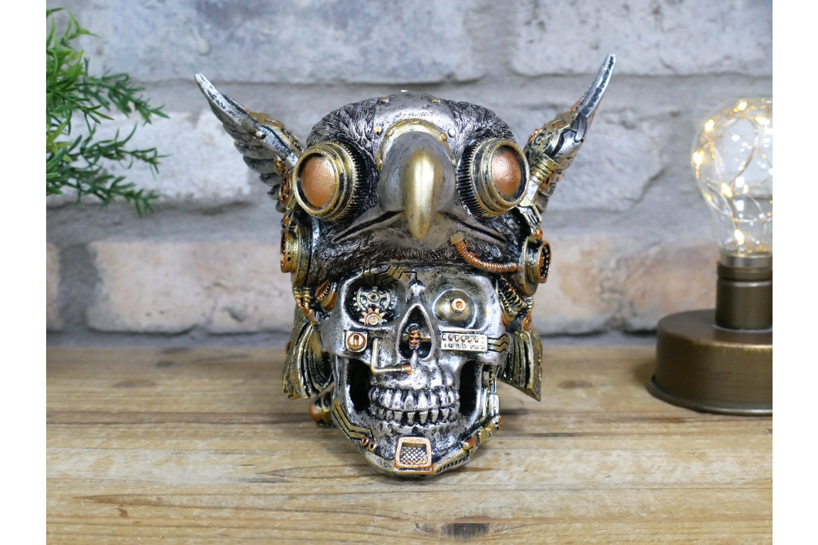 Bird on Skull