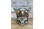 Bird on Skull