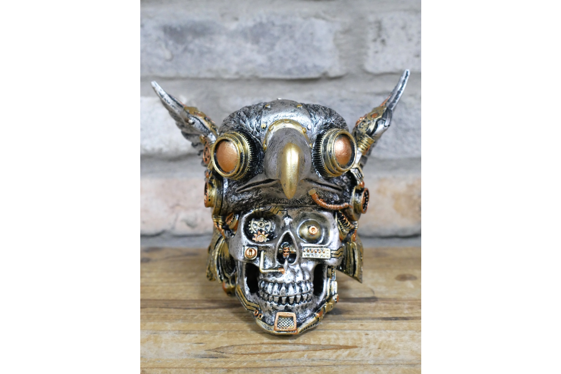 Bird on Skull