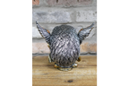 Bird on Skull