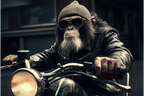Monkey Wall Art
